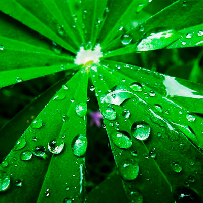 谁知道哪买好的DDOS网页端平台