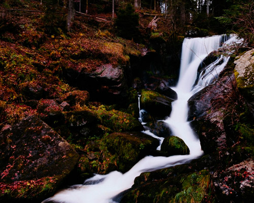 攻击网站服务器